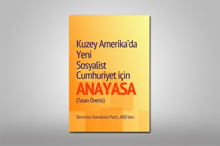 Devrim Yapıldığında İşler Nasıl Değişecek?