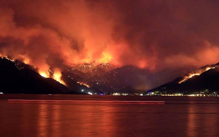 Orman Yangınları Çevresel Felaketin Habercisidir! Kapitalizm-Emperyalizmin Gezegeni Yok Etmesini Sadece Gerçek Bir Devrimle Durdurabiliriz!