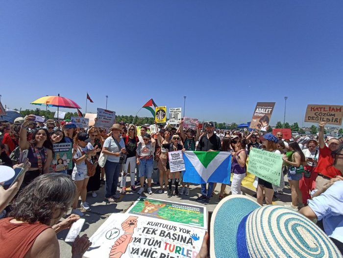 “Sokak Hayvanları’’ Meselesi ve Rejimin Gerici Kutuplaştırması Üzerine